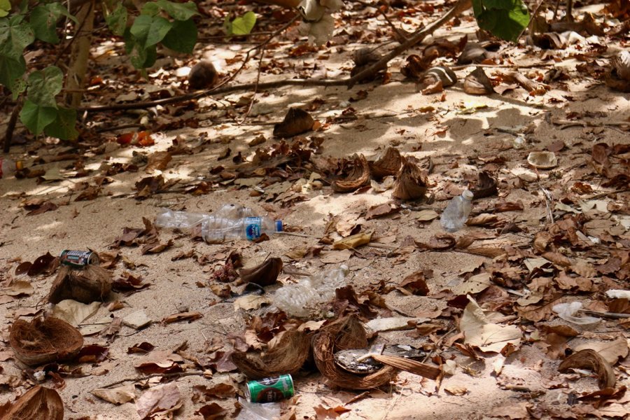泰国的塑料污染:海滩上散落着一次性塑料和其他垃圾，这是巡航的可持续性问题之一。©开云体育登录入口手机版官网网址KettiWilhelm2020