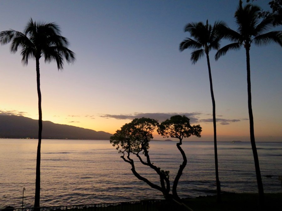夏威夷毛伊岛的日落和棕榈树，这是博主上次去毛伊岛旅行时拍摄的。©开云体育登录入口手机版官网网址KettiWilhelm2020