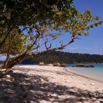 在泰国一个干净的白色沙滩,阳光透过树的叶子覆盖向水,和远处的一个岛屿。©开云体育登录入口手机版官网网址KettiWilhelm2021
