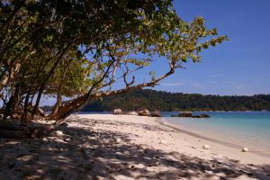 在泰国一个干净的白色沙滩,阳光透过树的叶子覆盖向水,和远处的一个岛屿。©开云体育登录入口手机版官网网址KettiWilhelm2021