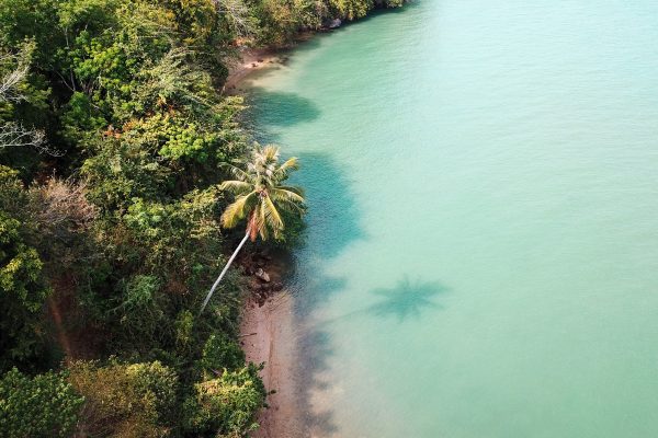 泰国丛林的鸟瞰图，有狭长的海滩和干净的绿色海洋，激发更多可持续的生活方式改变作为新年决心。©开云体育登录入口手机版官网网址KettiWilhelm2023